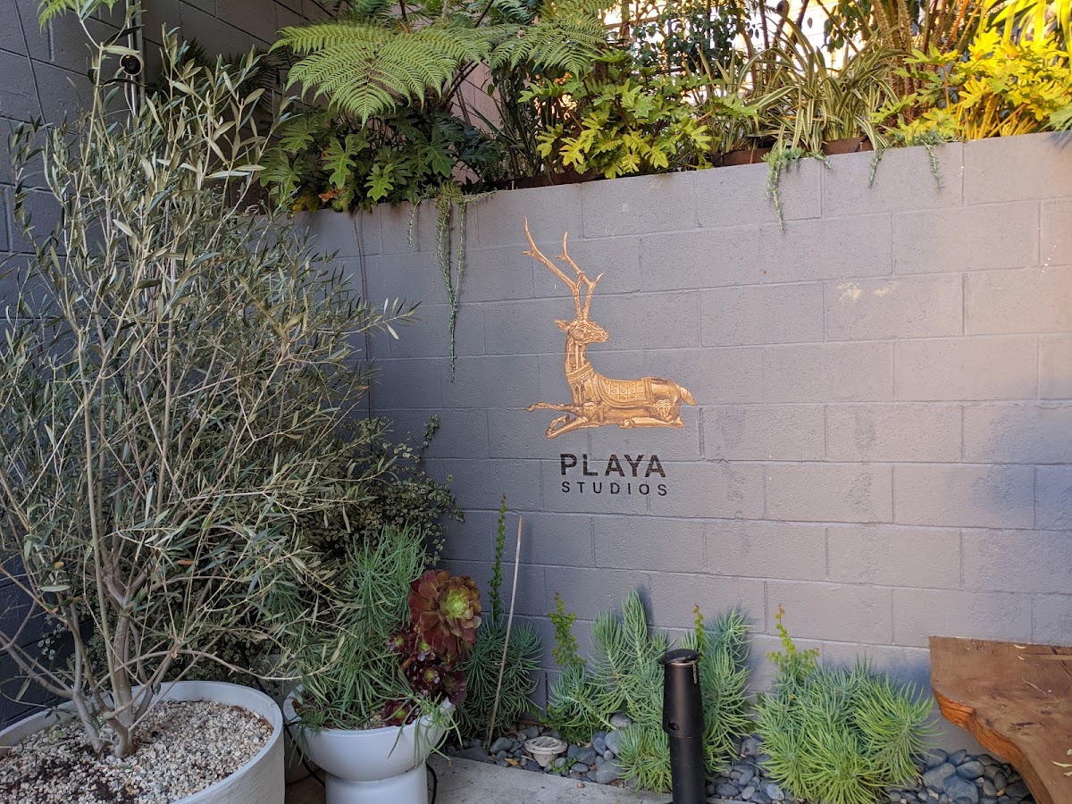 Playa Studios: Google Places image 3