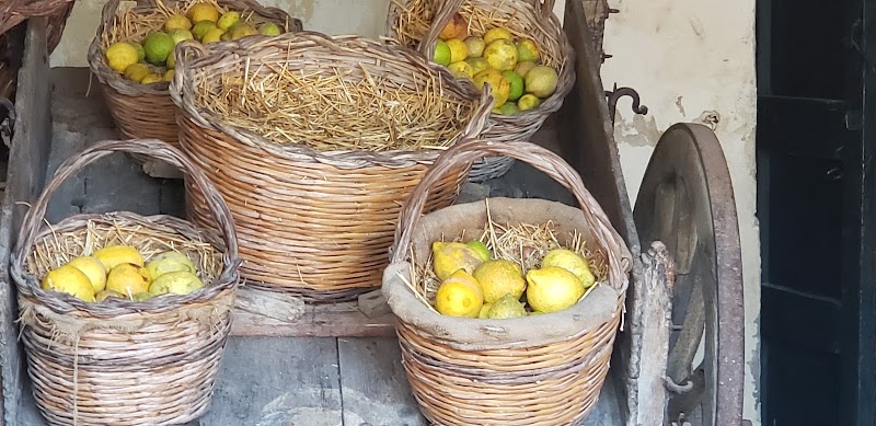 Sweet Basil Cafe & Catering photo 2