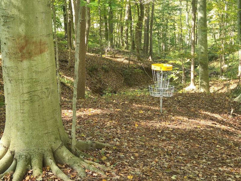 Mount Bradford Preserve photo 1