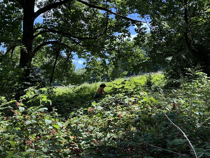 Mount Bradford Preserve photo 2