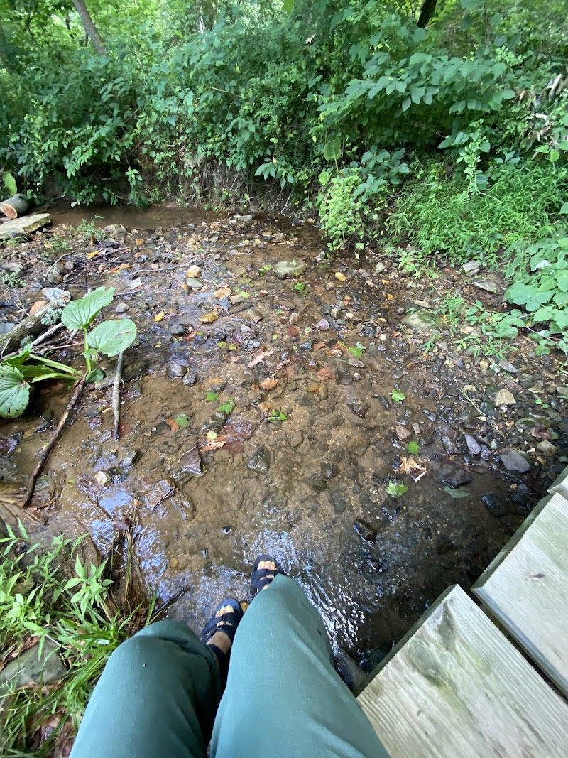 Mount Bradford Preserve photo 4