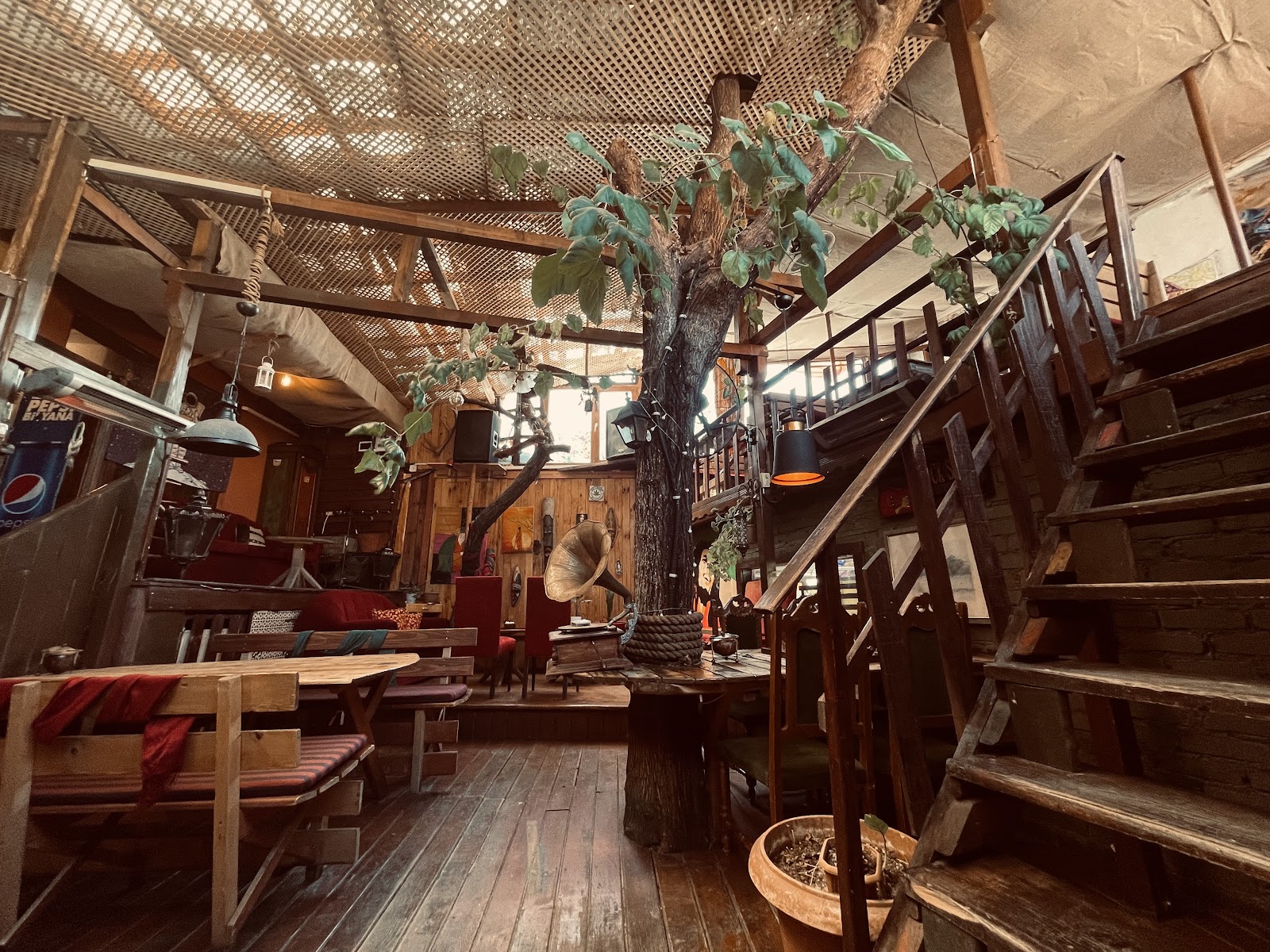Café Rasta mekanı