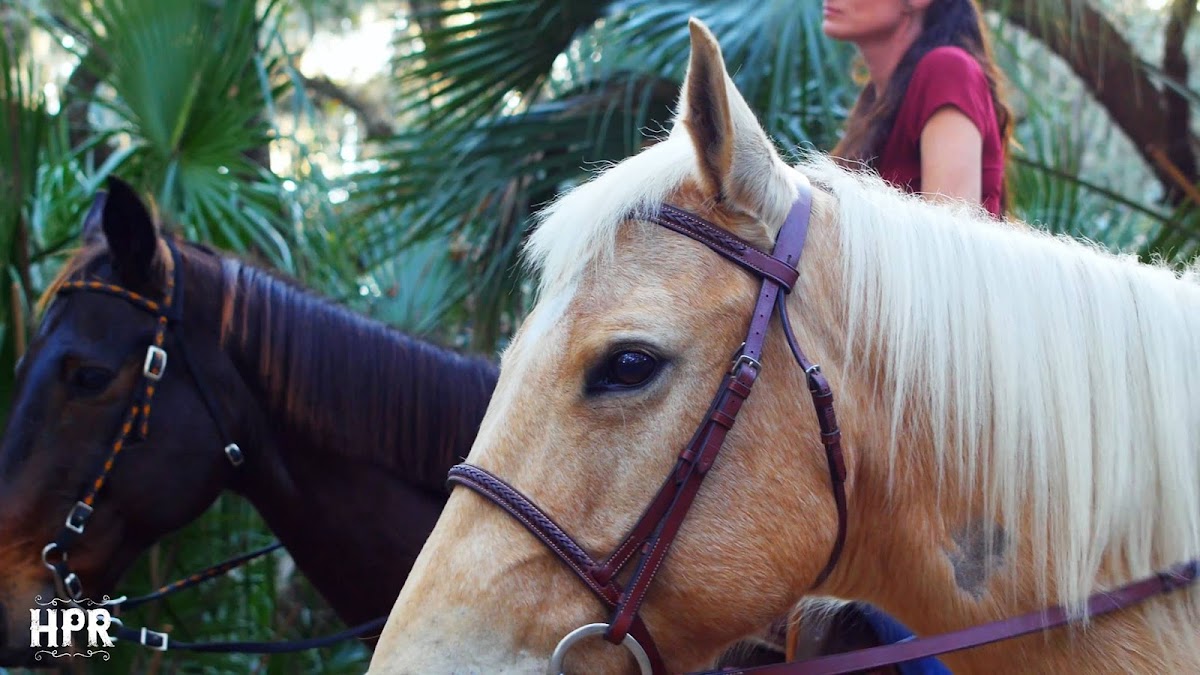 Hidden Palms Ranch