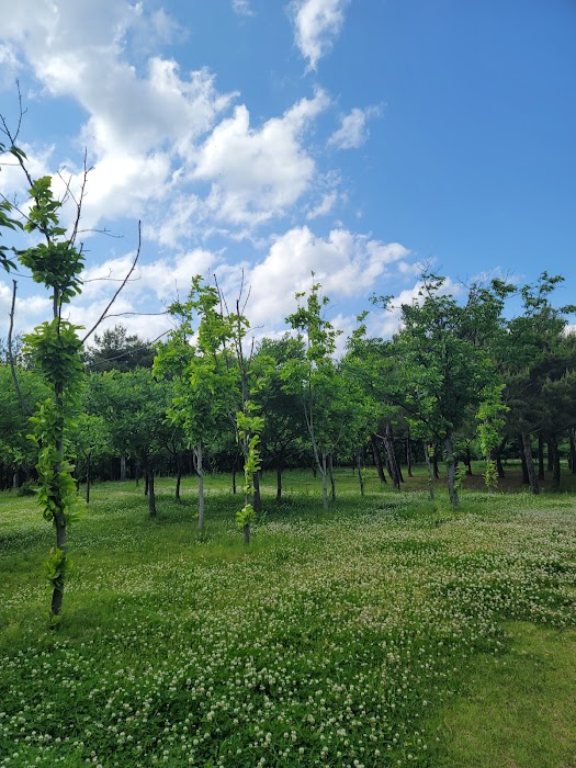 Daegu Environmental Resource Park fotoğraf 1