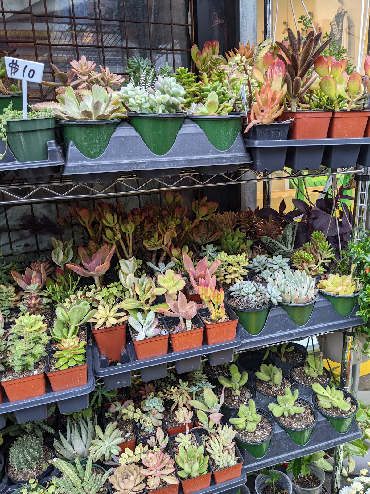 E Garden NY Flower Shop: Google Places image 4
