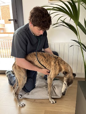 VETaDOM Veterinario a domicilio