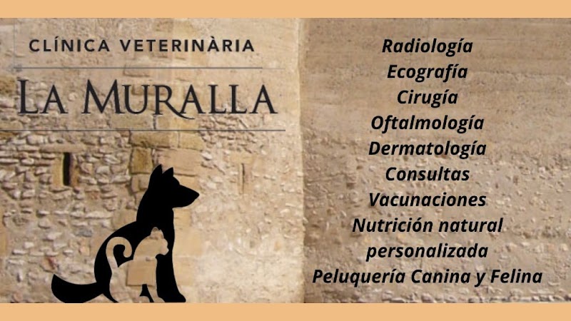 Clínica Veterinaria La Muralla Constantí
