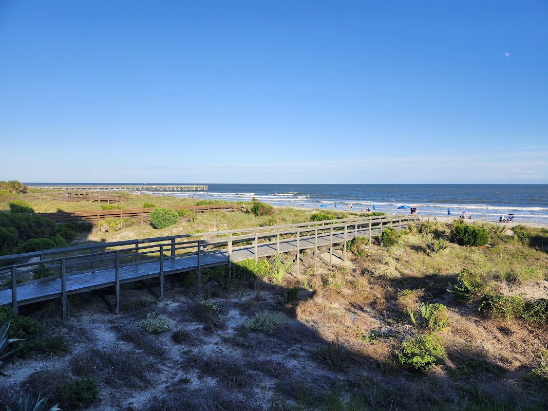 Coconut Joe's photo 4