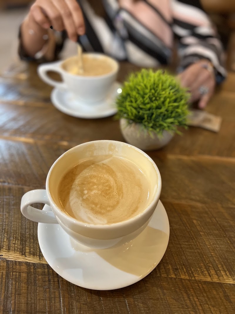 Foxtail Coffee Co - Downtown Mount Dora photo 2