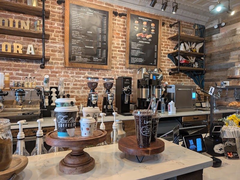 Foxtail Coffee Co - Downtown Mount Dora photo 4
