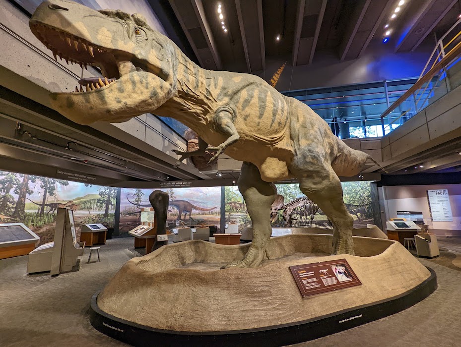 Museum of Science fotoğraf 1