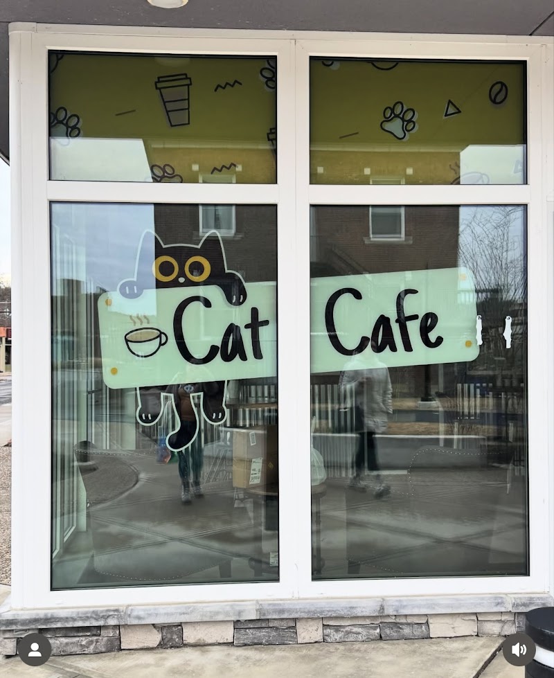Perk and Paws Cat Cafe