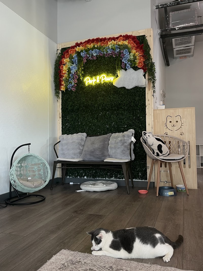 Perk and Paws Cat Cafe photo 2