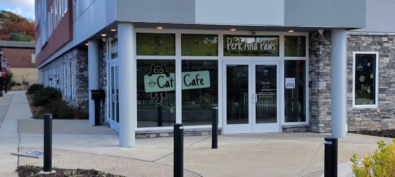Perk and Paws Cat Cafe photo 3