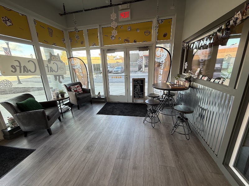 Perk and Paws Cat Cafe photo 4