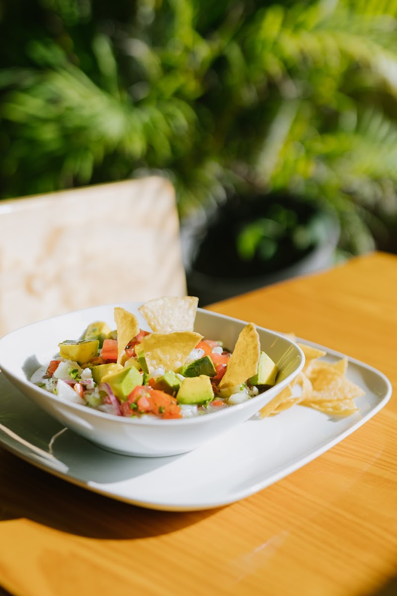 Pastrata Mexican Restaurant photo 3