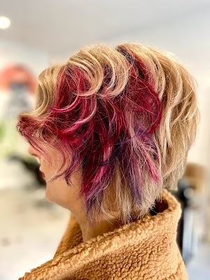 SJ Establishment photo 3