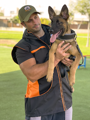 Dogs Code דוגס קוד באר שבע