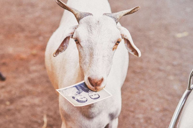 Dishoom Permit Room Cambridge