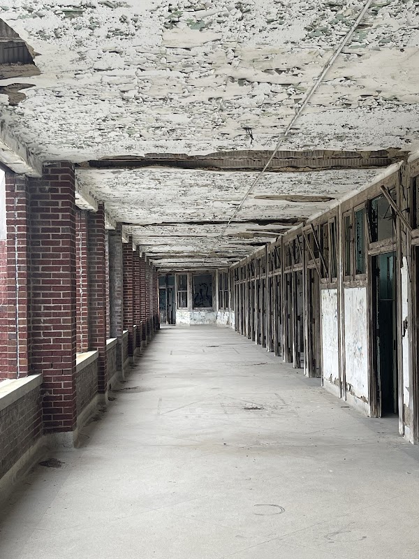 Photo by Missy Ousley