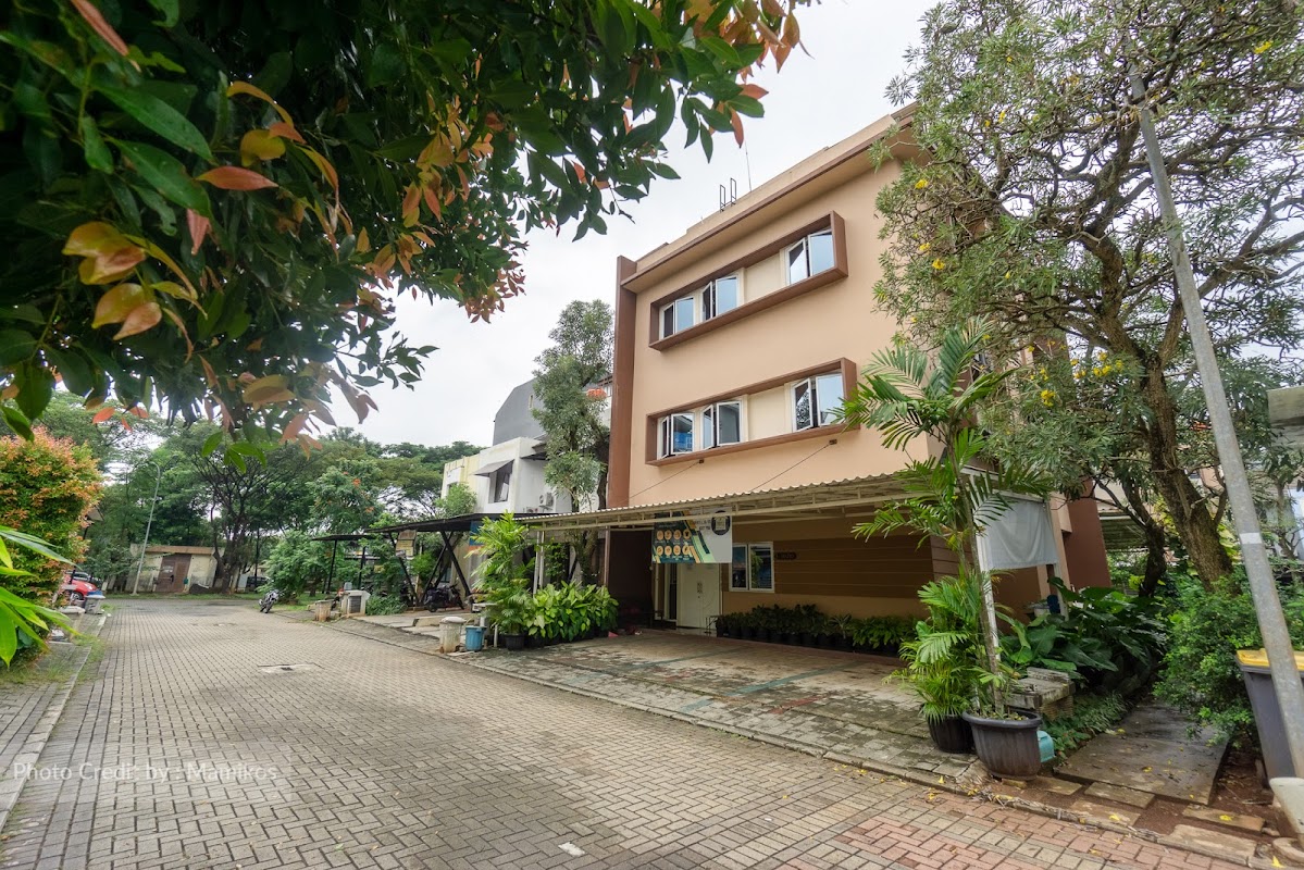 Brighta Foresta Studento L10/10 KOST