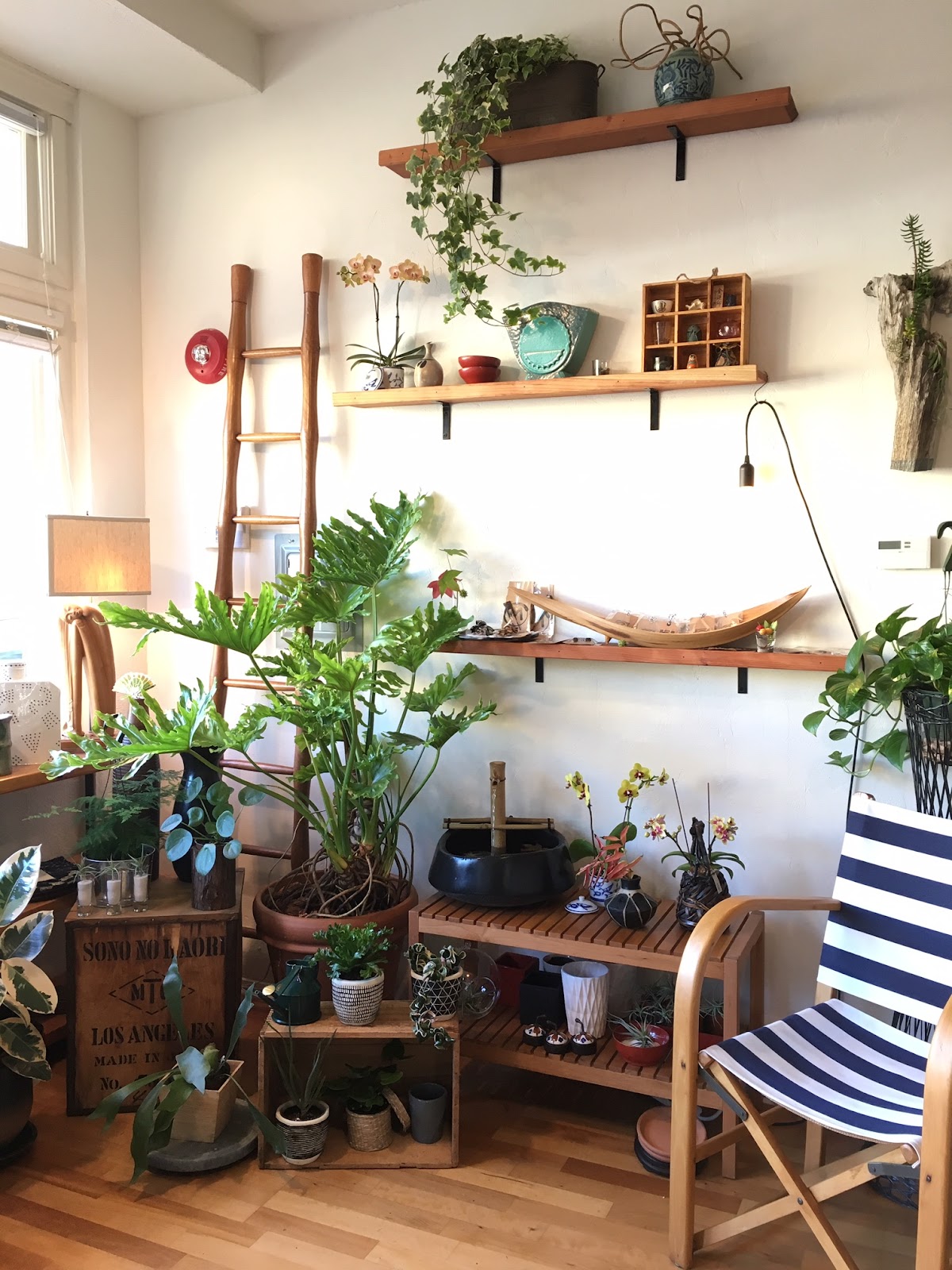 Momo's Flowers and More: Google Places image 3