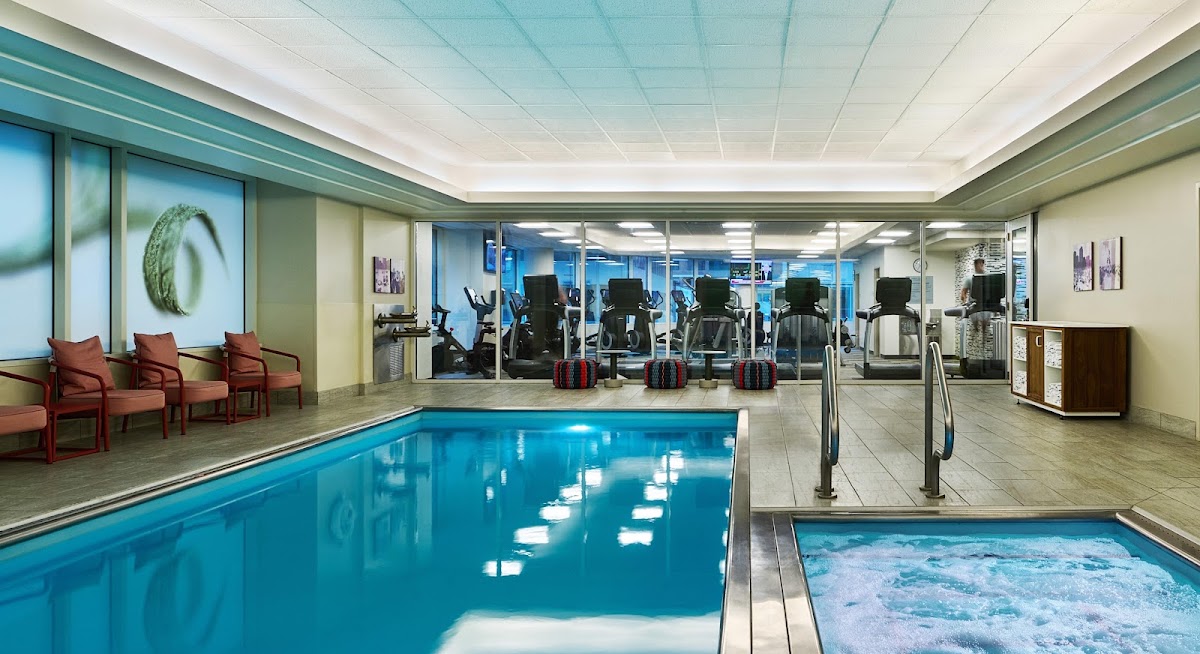 Hyatt Centric Chicago Magnificent Mile, dog-friendly hotel, photo 5