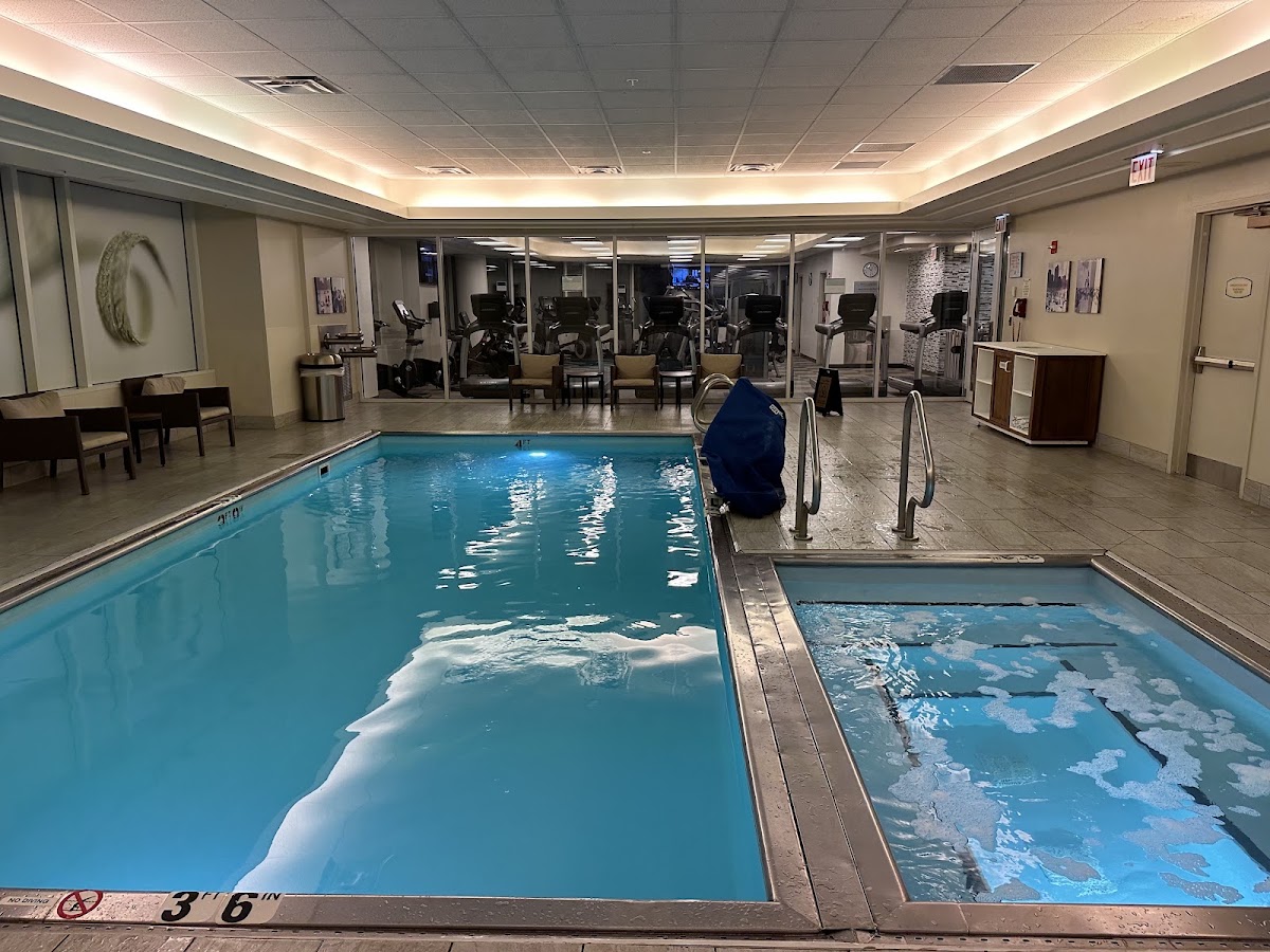 Hyatt Centric Chicago Magnificent Mile, dog-friendly hotel, photo 2