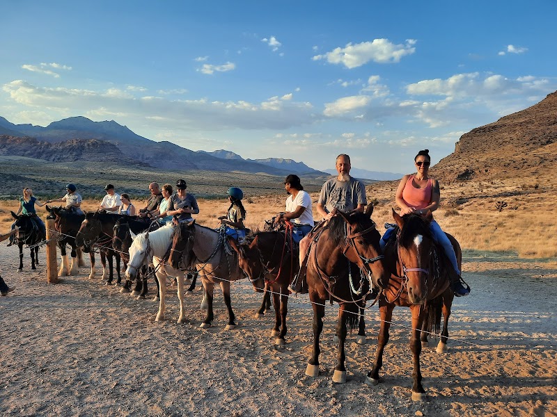 Cowboy Trail Rides - Photo 1