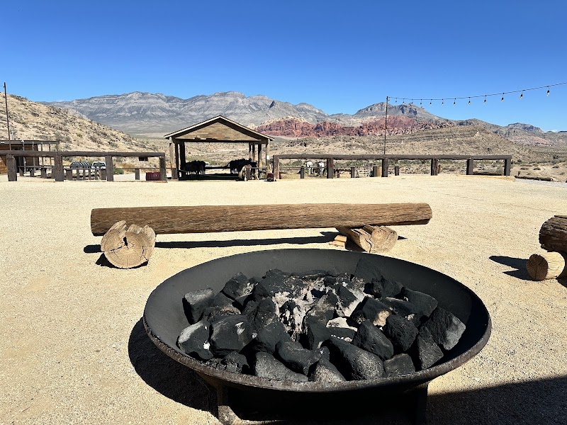 Cowboy Trail Rides - Photo 3