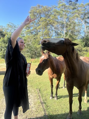 Let’s Torque Hair Design - Sunshine Coast NanoPlasty