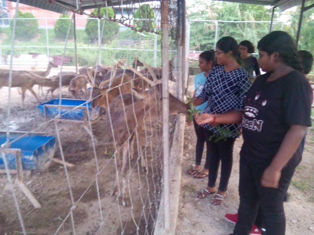 SJK(T) JALAN BUKIT RENGAM