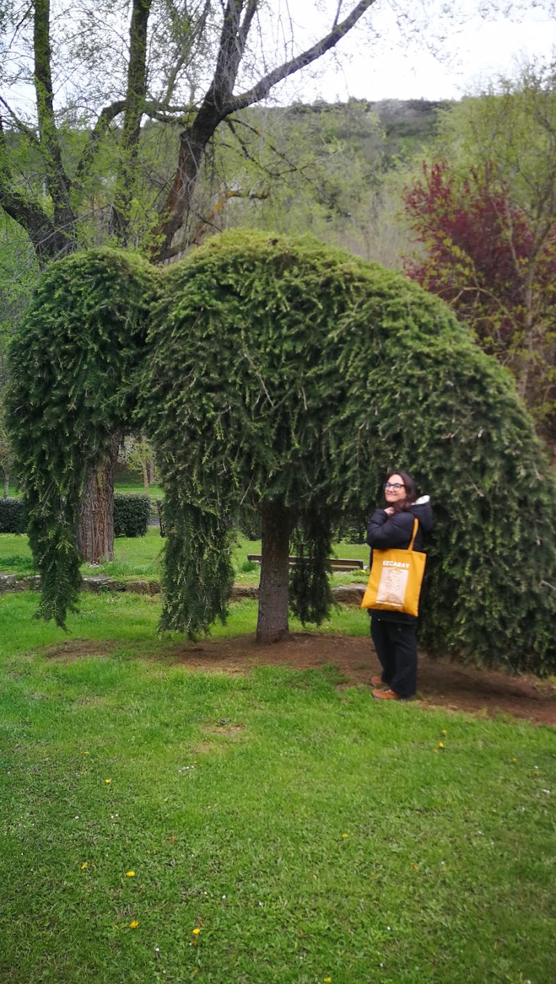 Mamut del río Oja