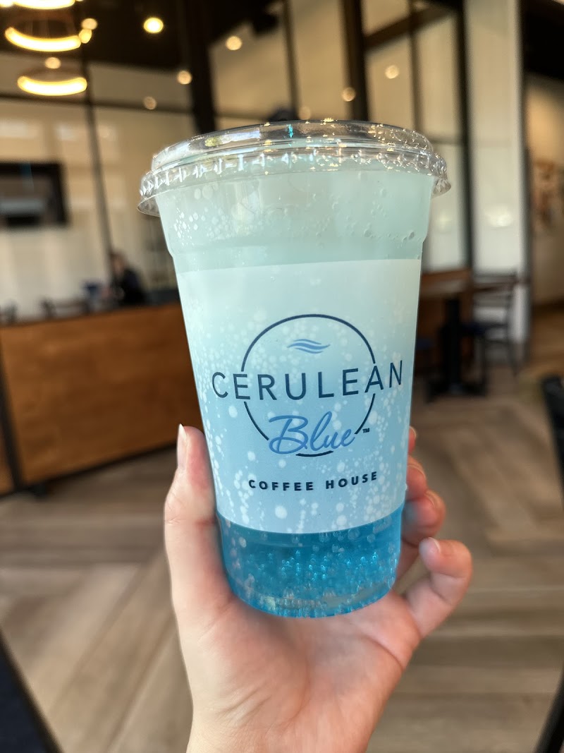 Cerulean Blue Coffee House photo 4