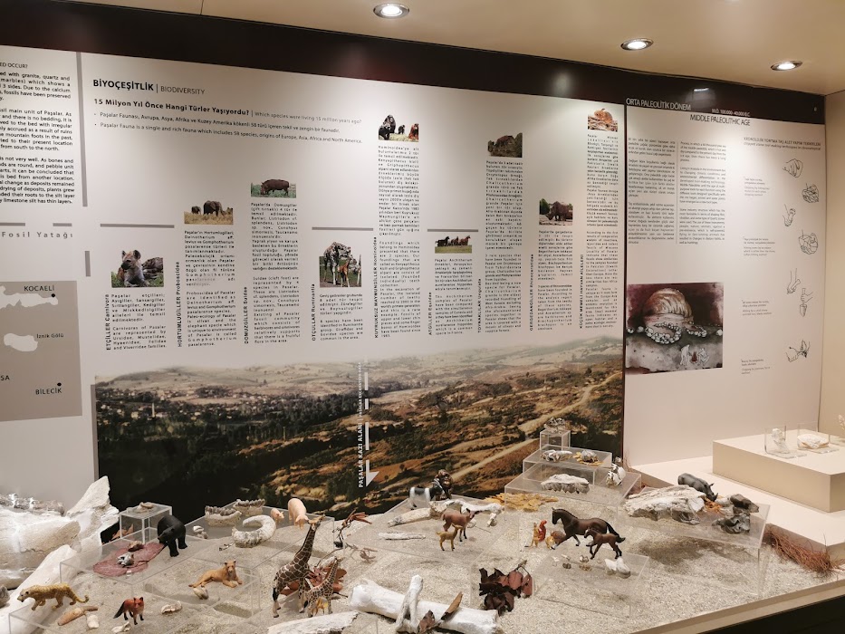 Bursa Arkeoloji Müzesi fotoğraf 1