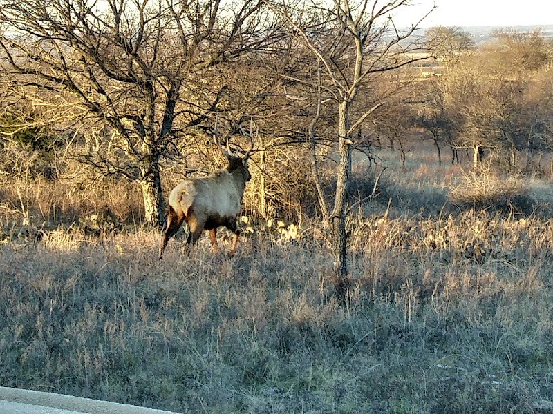 Wildcat Springs Ranch - Photo 6
