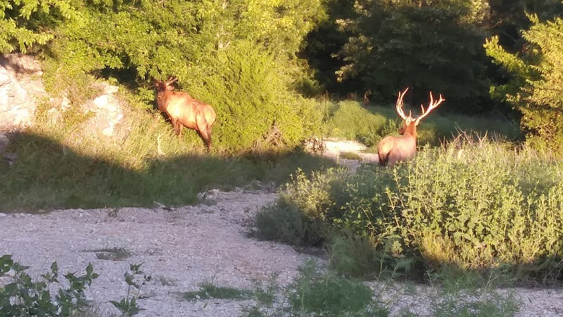 Wildcat Springs Ranch - Photo 4