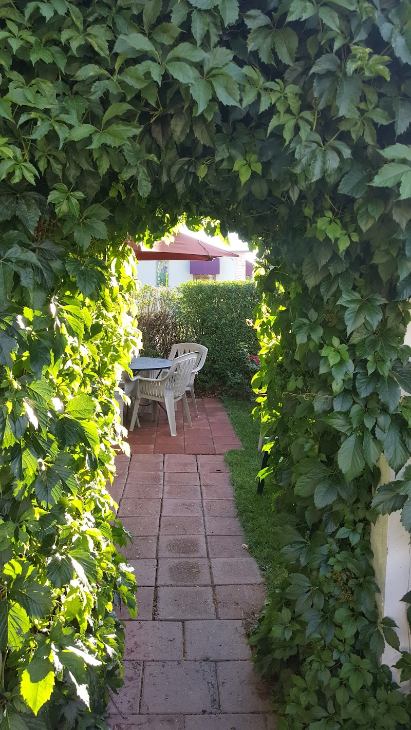 The Coffee Trader photo 3