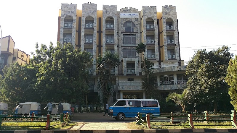 Dib Anbessa Hotel -ድብ አንበሳ ሆቴል photo 3