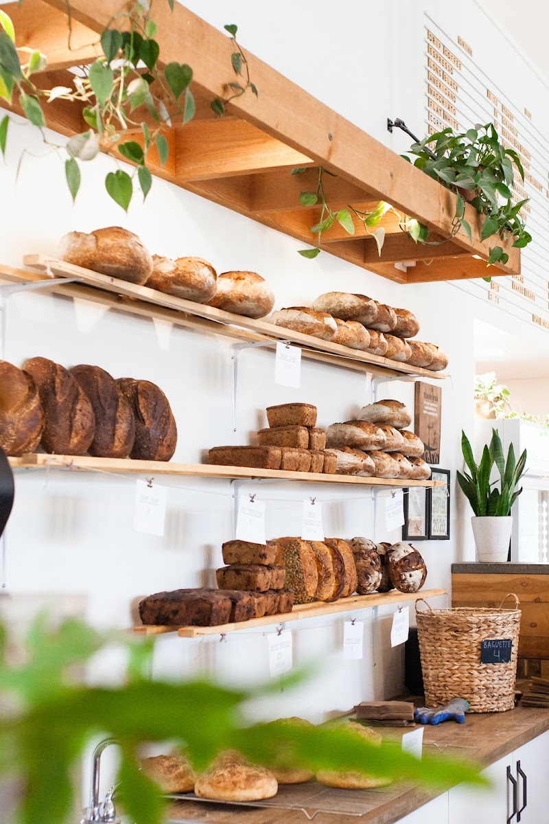 Sprout Bread photo 2