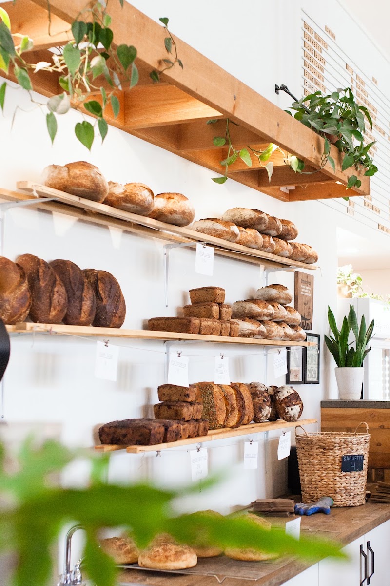 Sprout Bread photo 2