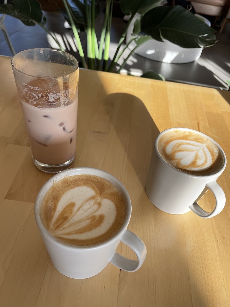 The Wall Coffee Roasters photo 1