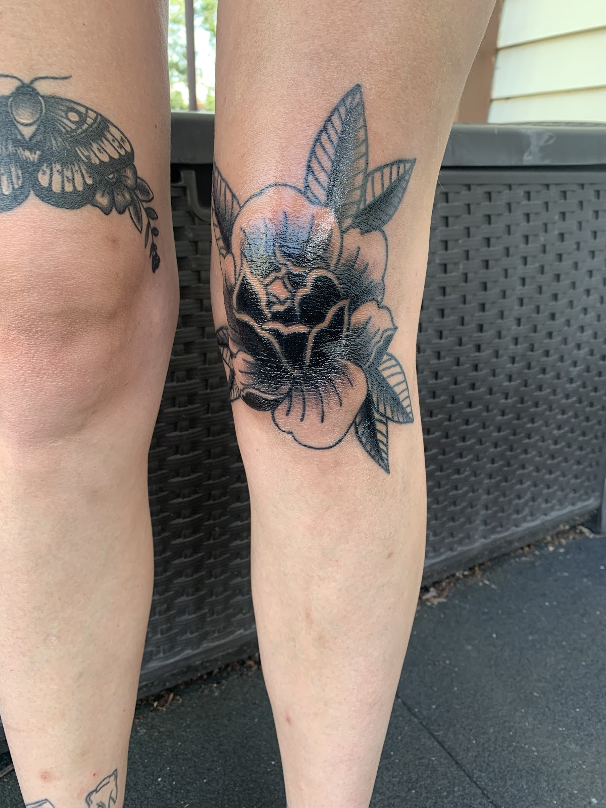 Black Dahlia Tattoo Gallery tattoo work — photo 2