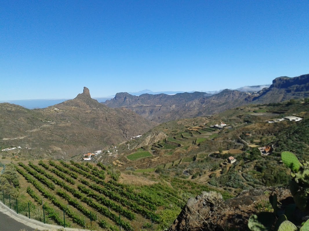 Wine Tasting in Gáldar