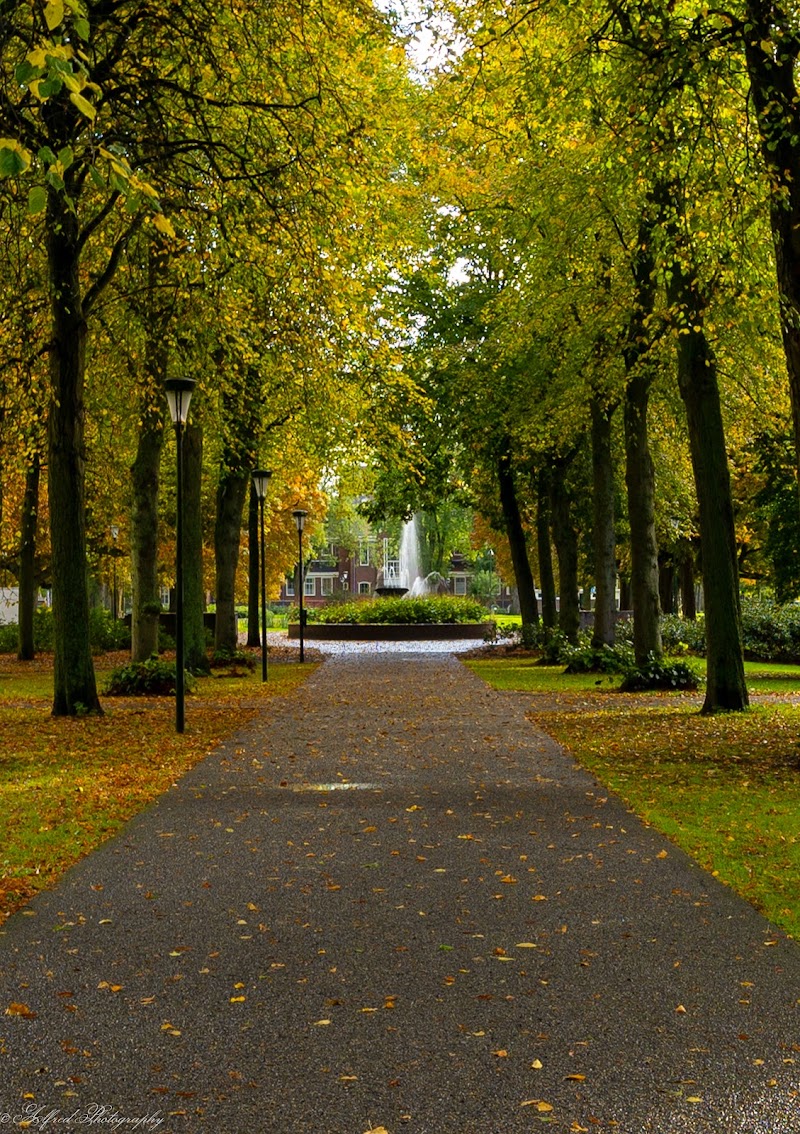 Bospark Bodegraven