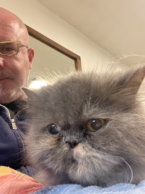 Get A Vet וטרינר עד הבית