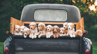 The Ranch at Bonny Oaks