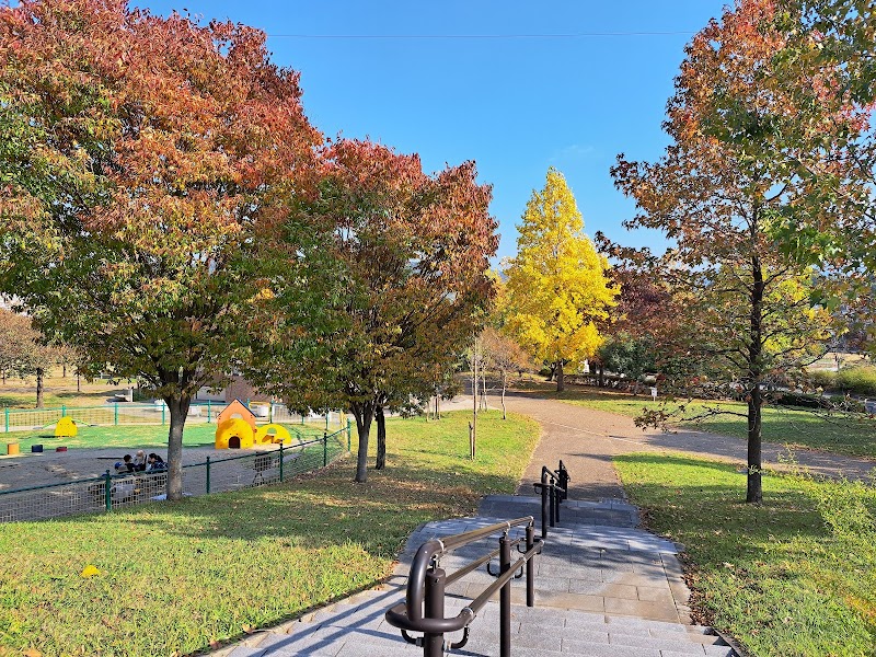 石川河川公園（錦織地区）