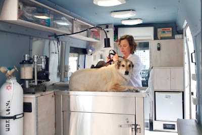 בביתך - מרפאה וטרינרית ניידת