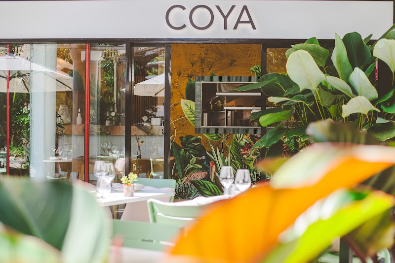 Coya